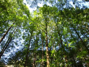 IMG_0569.JPG