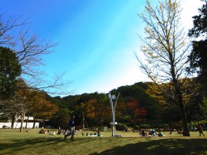 IMG_0570.JPG