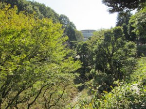 IMG_0572.JPG